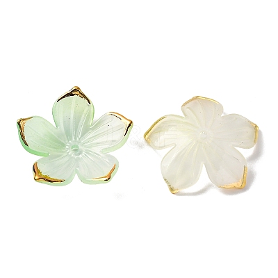 Transparent Acrylic Bead Caps TACR-P011-03A-1