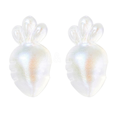 Transparent Acrylic Pendants OACR-P007-41-1