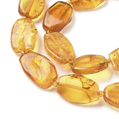 Natural Amber Beads Strands G-L095-C01-05-1
