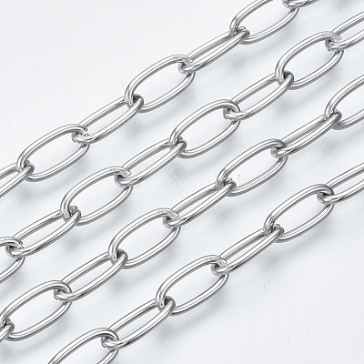 Non-Tarnish 3.28 Feet 304 Stainless Steel Paperclip Chains X-CHS-S001-06A-P-1