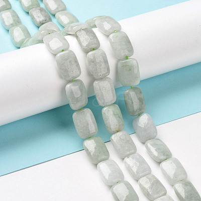 Natural Myanmar Jade/Burmese Jade Beads Strands G-C238-13-1