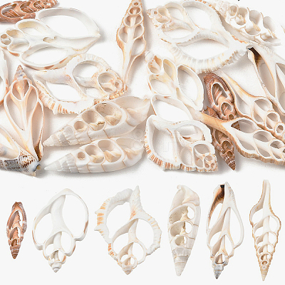 18Pcs 6 Styles Natural Shell Big Pendants BSHE-YW0001-20-1