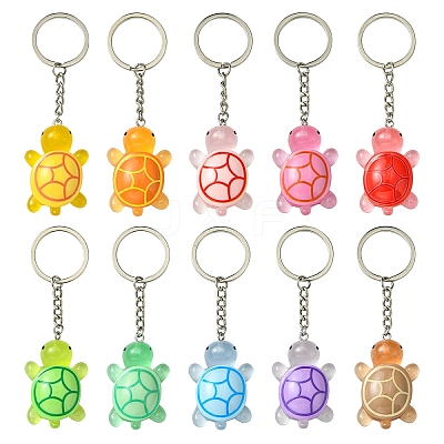 Tortoise Resin Keychain KEYC-YW00149-01-1