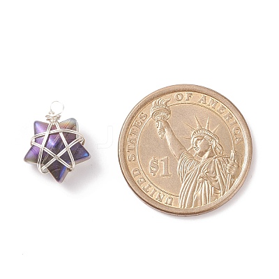 Wire Wrapped Electroplate Glass Charms PALLOY-JF01649-02-1
