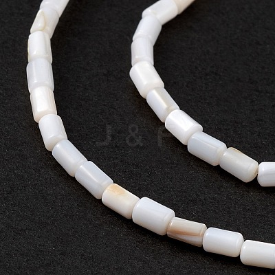 Natural Freshwater Shell Dyed Beads Strands X-SHEL-M018-12-12-1