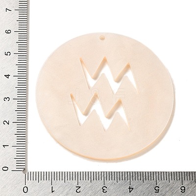 Acrylic Pendants SACR-S680-06I-1