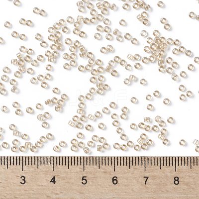 TOHO Round Seed Beads SEED-JPTR11-0629-1