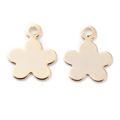 Brass Charms KK-Y003-34G-1