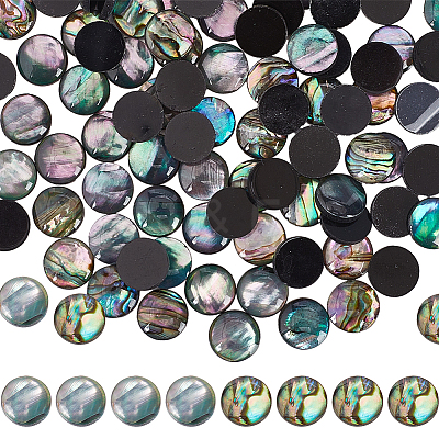 100Pcs 2 Styles Natural Abalone Shell/Paua Shell Cabochons SHEL-SC0001-42-1
