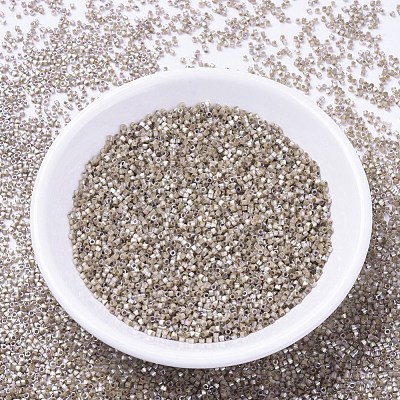 MIYUKI Delica Beads SEED-J020-DB0680-1