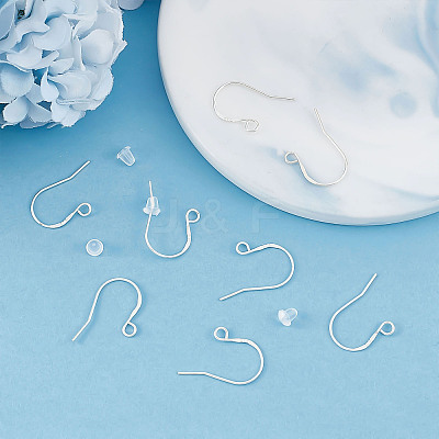 10 Pairs 925 Sterling Silver Earring Hooks STER-BBC0001-36-1