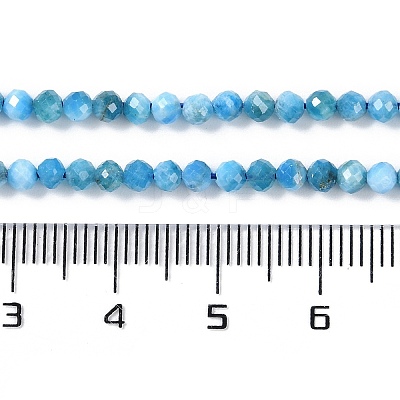 Natural Apatite Beads Strands G-P542-A06-02-1