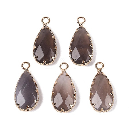 Natural Agate(Dyed & Heated) Faceted Pendants G-Q606-104G-03-1