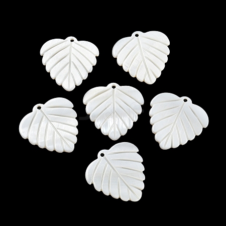 Natural Freshwater Shell Pendants BSHE-G034-20-1