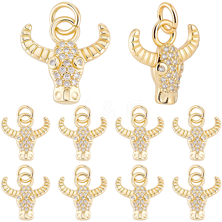 10Pcs Brass Micro Pave Cubic Zirconia Charms KK-BBC0024-920-1
