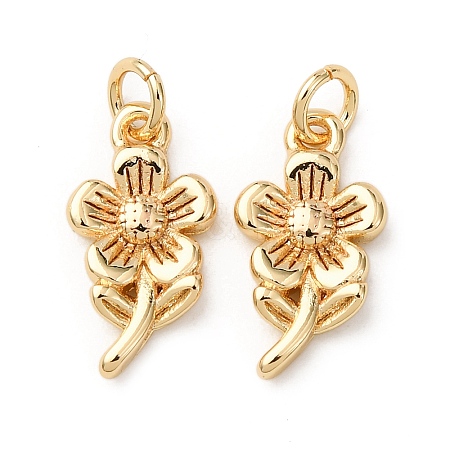 Brass Pendants KK-D019-15C-G-1