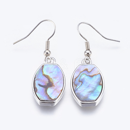 Abalone Shell/Paua Shell Dangle Earrings EJEW-P148-16-01-1