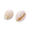 Fashewelry Natural Cowrie Shell Beads BSHE-TA0001-01-3