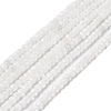 Natural Rainbow Moonstone Beads Strands G-I353-04-4