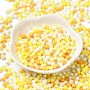 6/0 Opaque Baking Paint Glass Seed Beads SEED-M012-02A-28-2