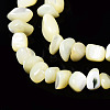 Natural Trochid Shell/Trochus Shell Bead Strands SSHEL-N034-78-C01-3