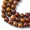 Natural Alashan Agate Beads Strands G-H343-D05-12mm-B-4