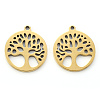 304 Stainless Steel Pendants LS-X-STAS-N092-09G-2