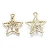 Alloy Pendants PALLOY-S132-104-2