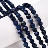 Dyed Natural Lapis Lazuli Beads Strands G-T138-218-1