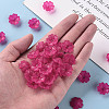 Transparent Frosted Acrylic Bead Caps X-MACR-S371-04A-706-5