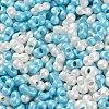 Glass Seed Beads SEED-L011-04A-18-3