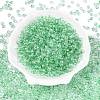 Baking Paint Electroplate Transparent Glass Seed Beads SEED-N006-07D-2