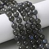 Natural Labradorite Beads Strands G-U017-8MM-01-1