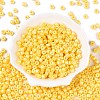 Baking Paint Pearlized Glass Seed Beads SEED-T008-03D-2