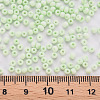 8/0 Opaque Glass Seed Beads X1-SEED-S048-N-009-4