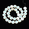 Natural Freshwater Shell Enamel Beads SHEL-N026-194-04-2