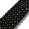 Natural Golden Sheen Obsidian Beads Strands G-P476-01D-04-1