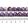 Natural Lepidolite Beads Strands G-U026-A06-10mm-5