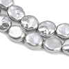 Electroplated Glass Beads Strands GLAA-H039-05B-3