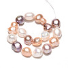 Natural Cultured Freshwater Pearl Beads Strands PEAR-N014-09A-2