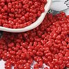 Baking Paint Glass Seed Beads SEED-K009-01A-07-1