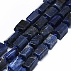 Natural Sodalite Beads Strands G-O170-101-1