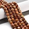 Natural Picture Jasper Beads Strands G-H028-A06-01-2