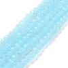 Electroplate Glass Beads Strands EGLA-A044-J1mm-L04-1