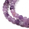 Natural Lepidolite/Purple Mica Stone Beads Strands G-C009-A06-4