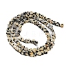 Natural Dalmatian Jasper Beads Strands G-M403-A31-01-3