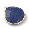 Natural Lapis Lazuli Pendants G-B009-07G-C-4