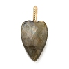 Natural Labradorite Pendants LS-G-C290-01D-1