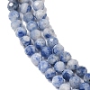 Natural Blue Spot Jasper Beads Strands G-A252-A02-02-4