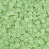 FGB Frosted Transparent Glass Seed Beads SEED-N013-03A-08-3